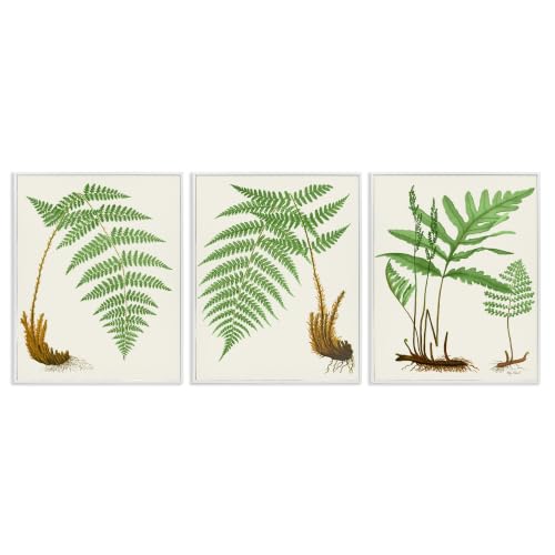 Botanical Nature Leaf Study, 24 x 30 Inch Framed Giclée Print Set