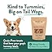 Portland Pet Food Company Gingerbread Dog Treats Healthy Biscuits for Small Medium & Large Dogs - Grain-Free, Human-Grade All Natural Cookies, Snacks & Puppy Training Treats - Made in The USA - 5 oz