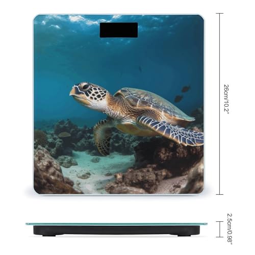 Báscula digital de baño Sea Turtle con pantalla LCD y base antideslizante miniatura 2