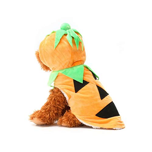 Ungfu Mall Halloween Pumpkin Style Pet Puppy Dog