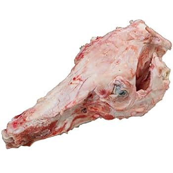 Amazon.co.jp: プロ用栃木県産豚頭骨約1.5kg Domestic pork