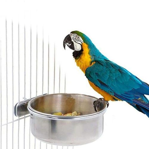 Lot de 4 gamelles en Acier Inoxydable pour Oiseaux,...