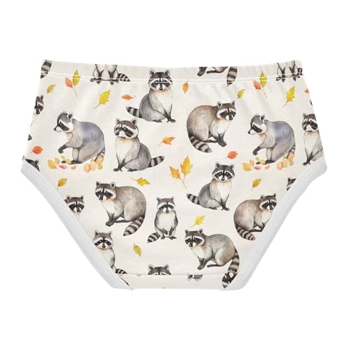 Cotton Toddler Girls Underwear Watercolor Cute Raccoon Light Beige Girl Panties Cute Animal Kids Briefs Undies 2t2