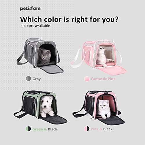 Petisfam Top Load Cat Carrier Bag For Medium Cats And Small Dogs. Airline Approved, Collapsible, Escape Proof And Auto-Safe. Easy To Get Cat In And Make Vet Visit Less Stressful #TOP6