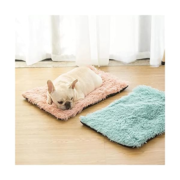 WXBDD Plush Dog Bed Mat - Comfortable and Stylish | Order Now
