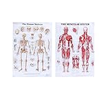 - Detailliertes und vollständiges Etikett zur einfachen Identifizierung.