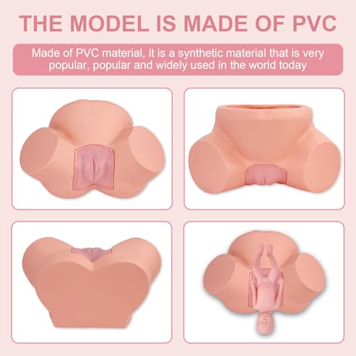Image of Birth Midwifery Training Model Simulator, Life Size Midwifery Mannequin Childbirth Demonstration Obstetrics Gynecology Normal Abnormal Fetal Positions Delivery Maternity Manikin for Teaching Medical