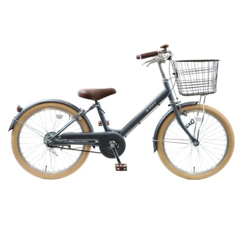 エイリン組立済み[色選択可能]子ども用自転車20型 LKM20E 京都 自転車専門店 完成車でお届け 20インチ キッズ サイクル 自転車 子供用 街乗り 通販 ふるさと納税[マットグレー]