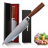 hoforife Couteau de Chef, Couteau Japonais Damassé 67 Couches avec Âme en Acier VG10 Haute Teneur en Carbone, Manche Ergonomique en Bois, dans son Écrin Cadeau (20 cm, Bois naturel)
