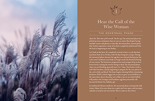 The Moon Cycle Cookbook: A Holistic Nutrition Guide for a Well-Balanced Menstrual Cycle