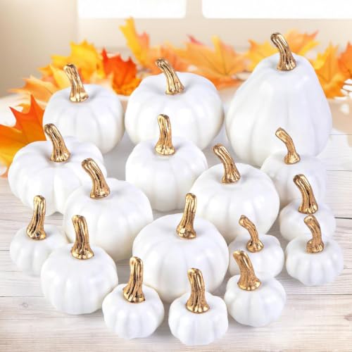 Image of DomeStar 18 PCS White Pumpkins for Decoration, Small White Pumpkins | Assorted Sizes for Wedding Thanksgiving Farmhouse, Table Decor