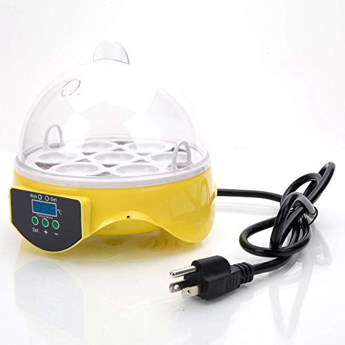 WXHN Inkubator-Set für Kinder, Eier-Inkubator mit Temperaturregelung Klar Allzweck für Inkubatoren Enten Gänse Vögel… – Bild 3