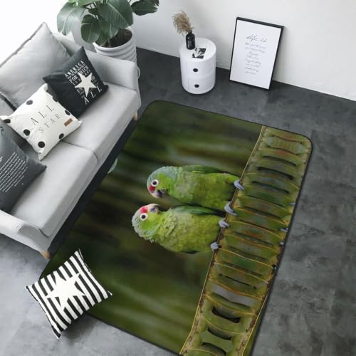 Alfombra de felpa de loros 80x58 pulgadas de pelo sintético suave 5