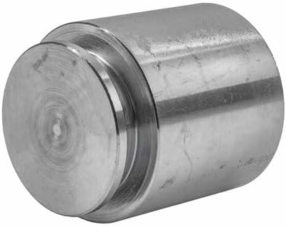 World American WA129-0407 Plunger