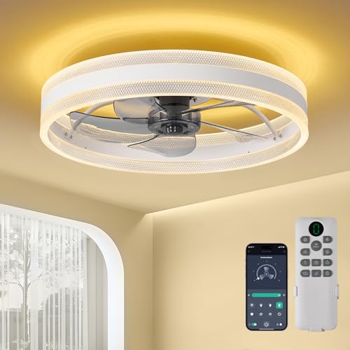 queffigle 20" Ceiling Fan with Light 4000LM 50cm Remote & App Con...