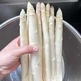 Se puede regalar a tus amigos que te gustan.
