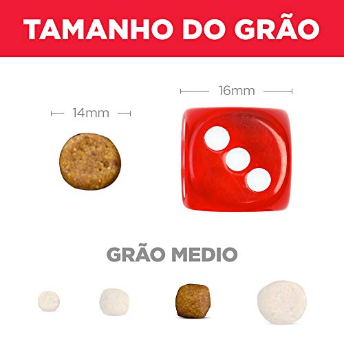 Ração Hill's Science Diet para Cães Adultos 6kg