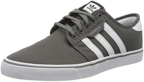 zapatillas adidas skateboarding seeley