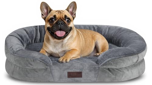 Enjamoy Medium Dog Bed, Washable Orthopedic Dog Beds Sofa wi