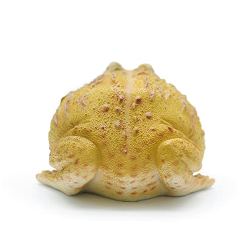 African Bullfrog Frog Toad Outdoor Decoration Statue (Plus Size),Fairy Garden Accessories Decorations，Bullfrog Outdoor Art Decorations Statues, Garden Lawn And Courtyard Decoration Sculptures #TOP2