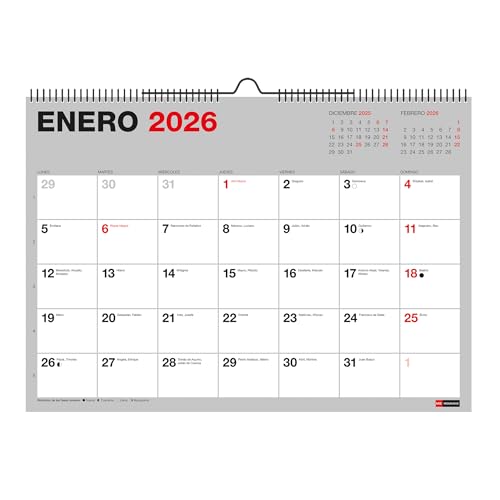 Miquelrius - Calendario 2026 de pared Basic, Organizador anual A3: 420 x 296 mm, Con espacio para anotar, Encuadernación espiral doble, Planificador 12 meses, Español