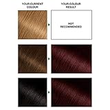 Garnier Nutrisse Ultra Crème Vegan Hair Dye, 3.6 Deep Reddish Brown. Achieve 100% grey coverage and vibrant, warm 8-week colour. This no-ammonia, vegan formula delivers a rich, reddish-brown hue. - Image 3