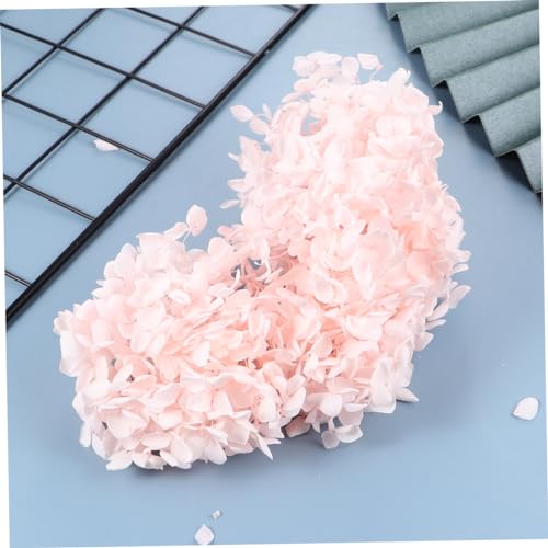 HOMSFOU Pétalos Secos de Hortensia para Decoración miniatura 5