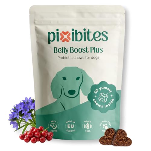 Juegos Educativos para Perros 5 pixibites - Probióticos para Perros, Suplemento Natural para Salu...
