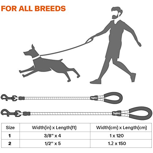Taglory Hundeleine mit bequemen gepolsterten Griff, robuste Hundeleine zum Trainieren und Gassi gehen, 150×1.2cm Reflektierend Führleine aus weichem Nylon für große Hunde, orange