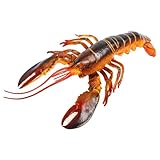 ACCESSOIRE DE FRUITS DE MER ARTIFICIELS : le modèle de homard de simulation peut être placé dans votre jardin pour ajouter de la vitalité et une atmosphère vivante à la décoration du jardin