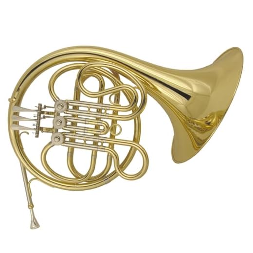 3-key Single Row French Horn Adult Professional Playing Brass Lacquer Gold F Key French Horn With Canvas Case French Horn Set