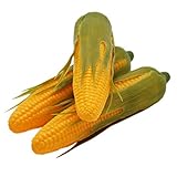 Babariol Artificial Corn, Lifelike Simulation Fake Vegetable Corn (3 pcs) (Corn)