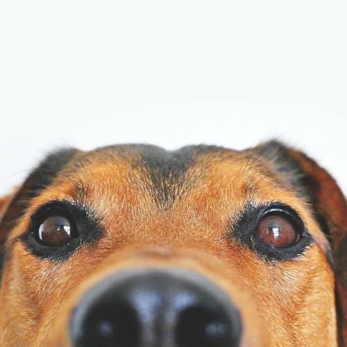 If You Repent - Isaiah 30:15