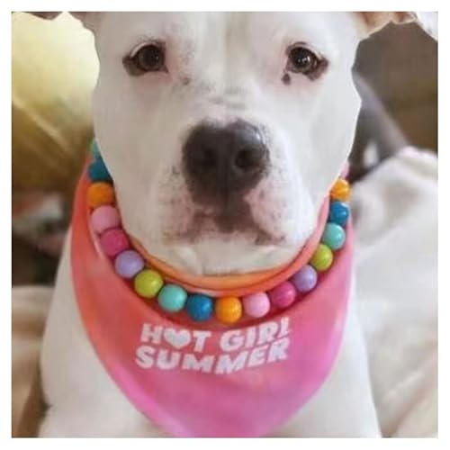 Necklace For For Small Dog Multi Color Beads Strand Pet Jewelry #TOP1