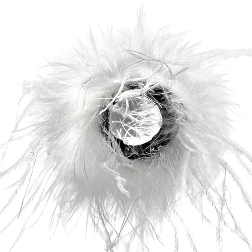 [Sxett] i`tFU[NbvprXgohnEBhXAbvߑƃe[}p[eB[̑H