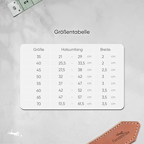 FREUDENTIER® Hundehalsband aus Leder, Made in EU, gefüttert & super komfortabel, hochwertiges breites Lederhalsband aus Vollnarbenleder, Model “Amstelpark” (42-52cm Halsumfang, Cognac)