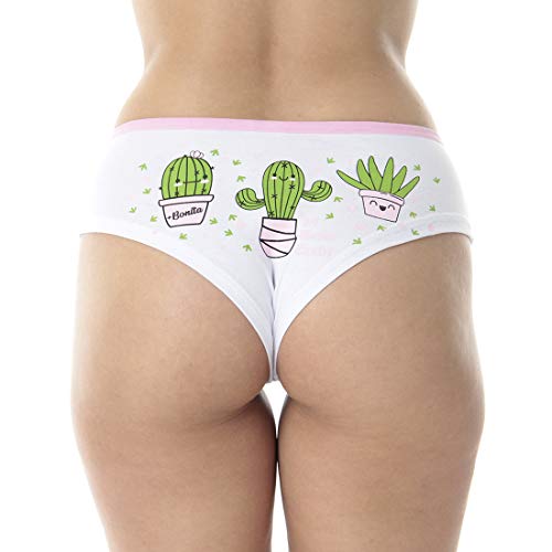 Kit com 5 Calcinhas Sula Algodão Penteado