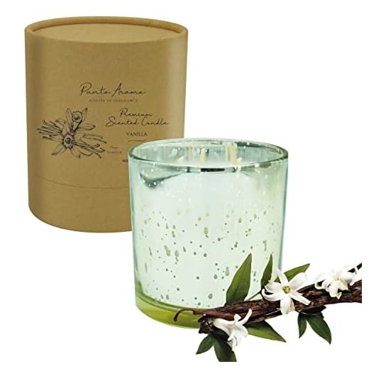 Punto Aroma - Vela aromática - Aromatizante de ambiente - 10cm de altura - Ideal para salas recámaras baños spas y oficinas - Fragancia Premium certificada - Contiene 1 vela de 400g (Vanilla)