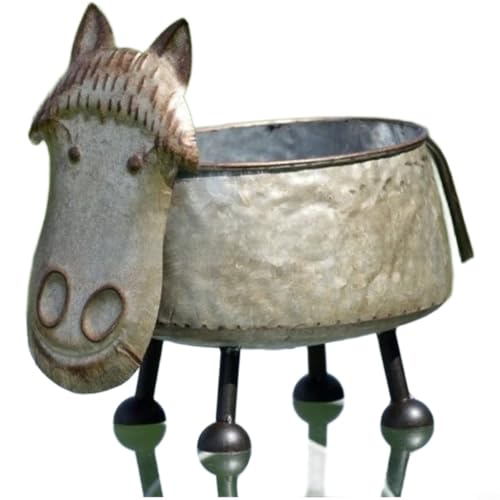 Pot d'animal argenté pour fleurir une cour au style rustique