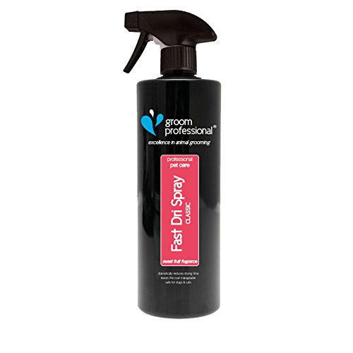 Best Quick Drying Spray For Dogs Reviews And Buying Guide