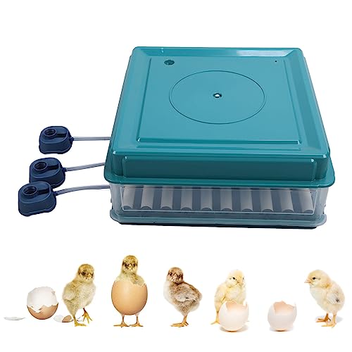 Inkubator, Vollautomatischer Hühnereier-Inkubator, 9–35 Eier, Inkubator mit Effizienter LED-Beleuchtung, Brutmaschine für Hühner, Gänse, Enten, Tauben, Wachteln, Vögel (EU-Stecker 220 V 64 Eier)