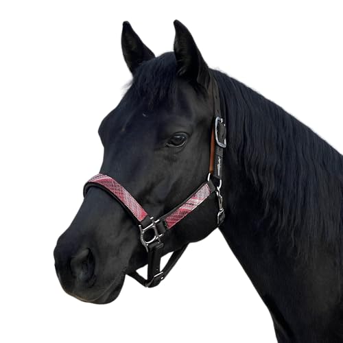 Kensington Premium Breakaway Halter with Padded Nose — Added Breakaway Safety Measures — Snap at Throat for Identical Fit Each Time Size: Large - Color: Black w/Merlot
