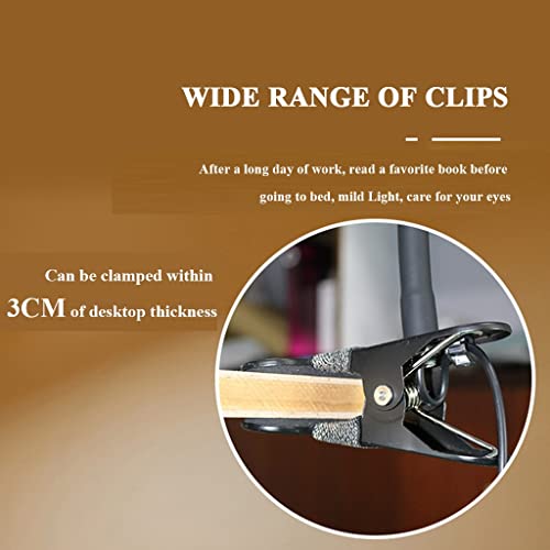 Lampe de bureau 2 en 1 réglable avec télécommande et clip pour salon