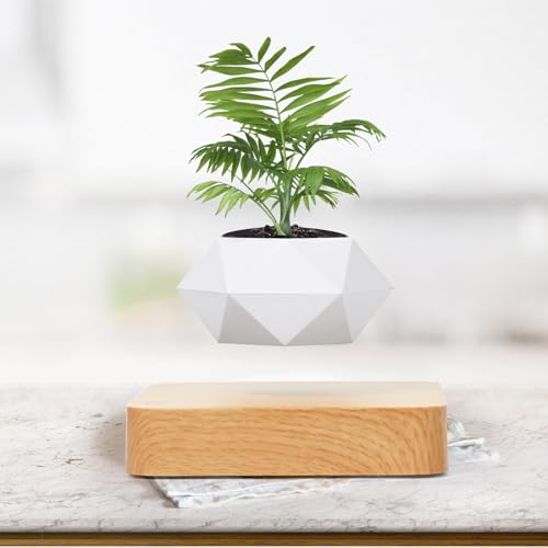 Leekimid Levitating Plant Pot Magnetic Levitation Flower Pot Suspension Floating Plant Succulents Air Bonsai Potted Plant for Home Decoration Living Room Office Desk (White)