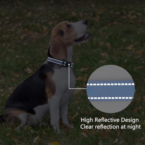 Image of Reflective Dog Collar, Adjustable Nylon for Medium Dogs,Blue