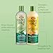 ORS Olive Oil Creamy Aloe Shampoo & Replenishing Conditioner with Aloe Vera & Orange Oil (2 Piece Set)