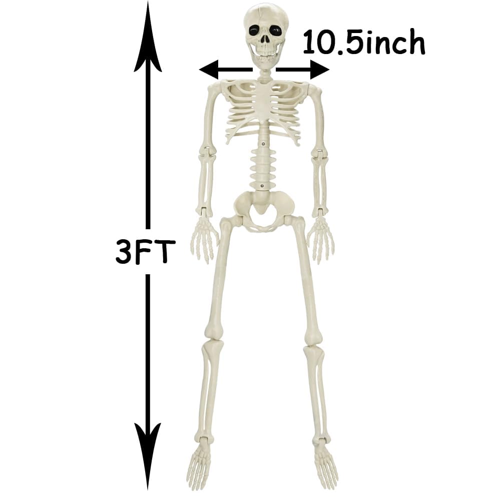 CAMIRUS Esqueleto de Halloween de 3 pies, esqueleto de Halloween de cuerpo completo de 36 pulgadas con articulaciones articulables móviles, accesorio de huesos humanos realistas de plástico para