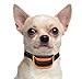 Our K9 Orange Bark Collar. Small - Medium Inactive Lazy Dogs. Sound and Vibration Pain Free Anti Bark Collar. + Case