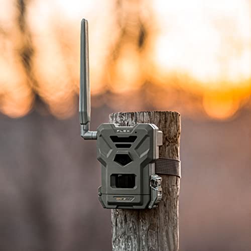 Foto von Spypoint Flex Wildkamera mit Videoübertragung, inklusive SIM-Karte, Wildtierkamera für die Jagd, 33 Megapixel, Full-HD Fotos & Videos, kostenlose App für Ihr Smartphone