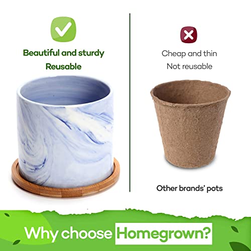 4 Herb Garden Starter Kit Indoor: Complete Grow Kit W/Deluxe Ceramic Pots & Soil - Diy Herb Seeds To Plant, Window Garden Home Growing Kit - Best Plant Gifts For Women, Unique Gifts For Cooks #TOP3